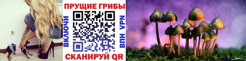 Псилоцибиновые грибы Psilocybine cubensis  где можно купить наркотик  Бикин 